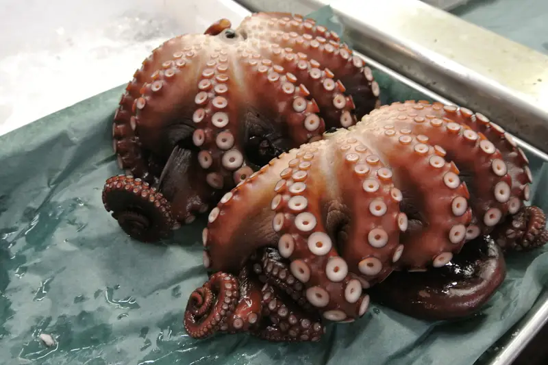 Two whole cooked octopus on display at a market stall