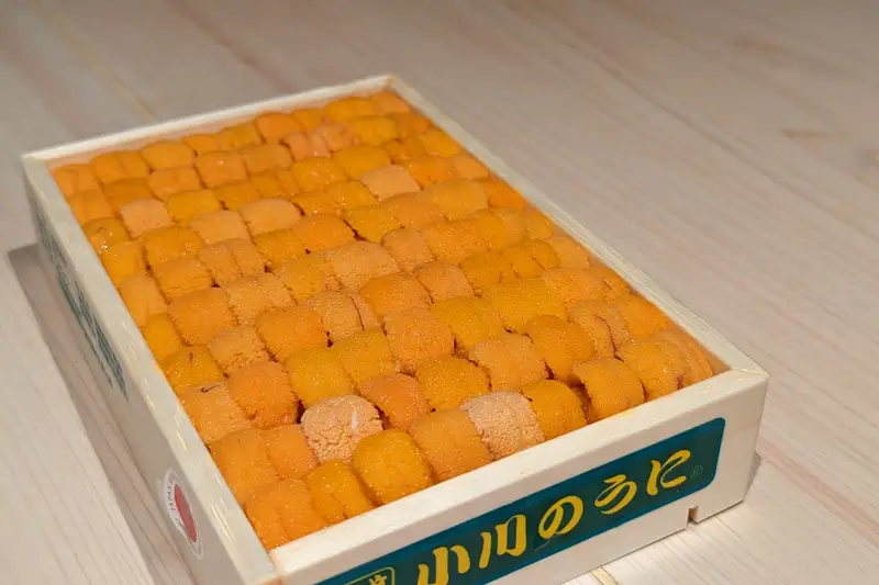 Wooden tray of fresh sea urchin on a pale counter
